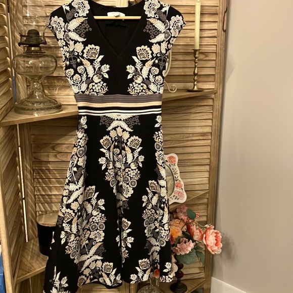 Anthropologie Dresses & Skirts - Anthropologie Black and White A-Line Midi Soiree Dress with V-Neck Sz 2